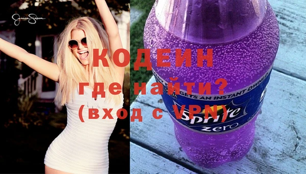 шишки Тайга