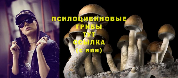прущая мука Белокуриха