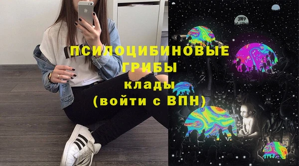 дмт Тавда