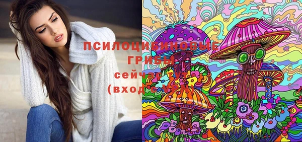 прущий лед Белоозёрский