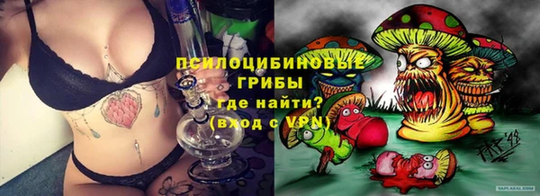 прущая мука Белокуриха