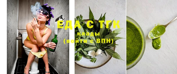 шишки Тайга