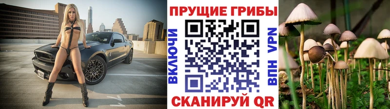 darknet какой сайт Верхняя Пышма Псилоцибиновые грибы Magic Shrooms купить наркоту
